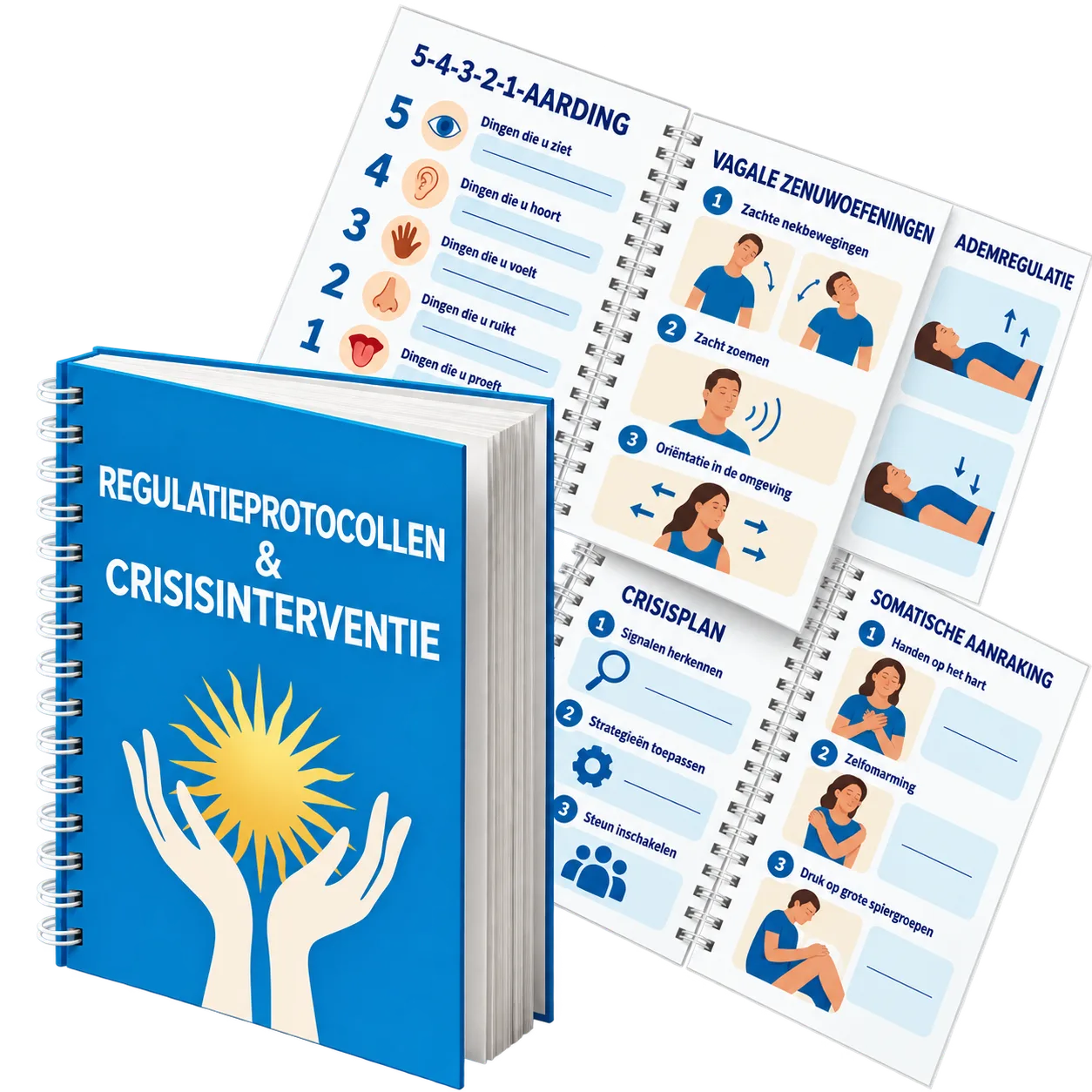 Regulationsprotokolle und Krisenintervention