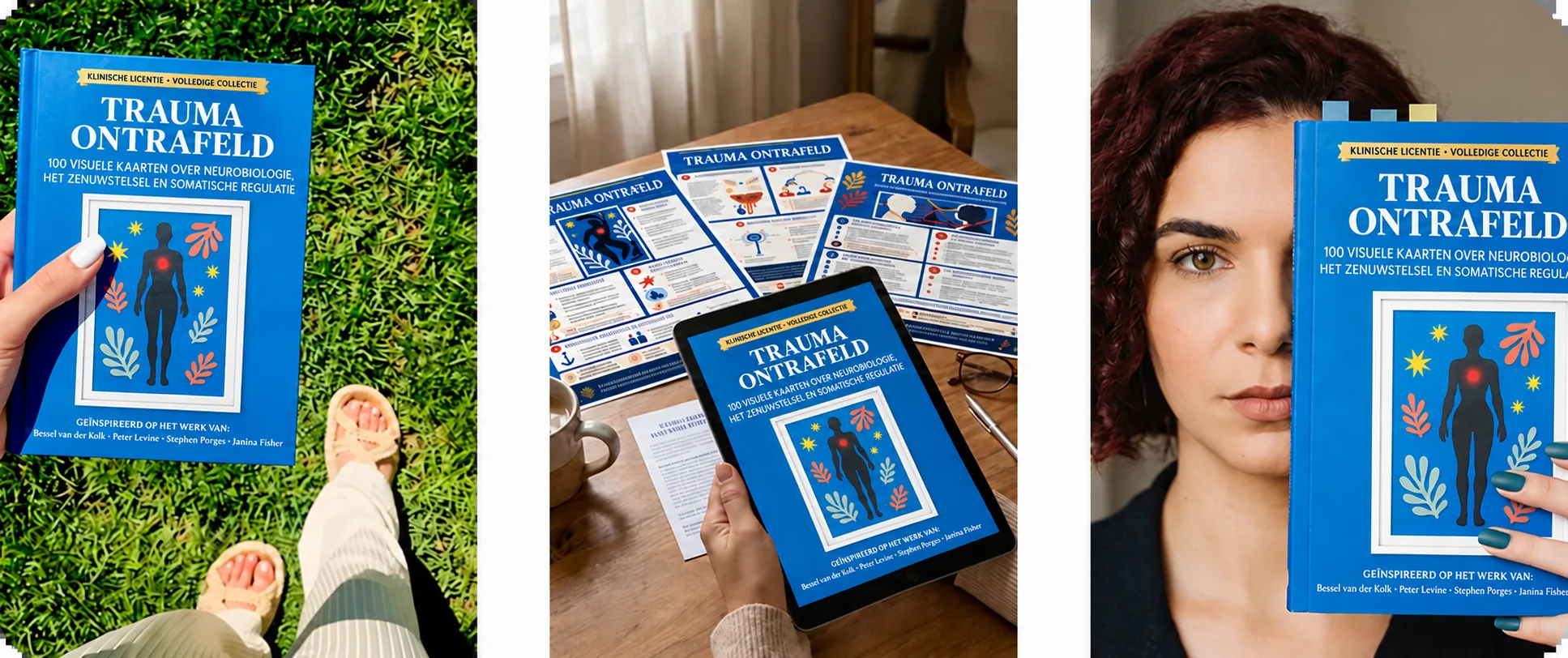 Trauma Entschlüsselt im Buch- und Tablet-Format